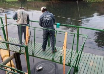 Desacelera a detecção de carga viral do novo coronavírus nos esgotos